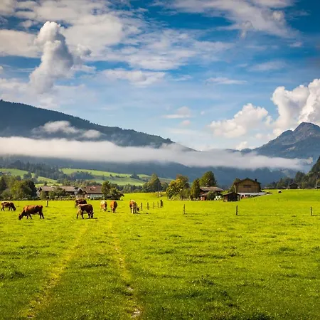 Appartement Matzhof *