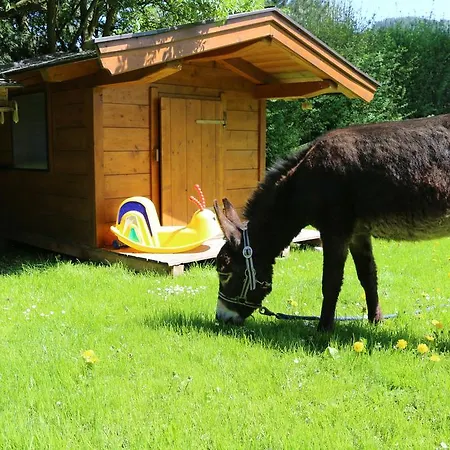 Matzhof Daire Leogang