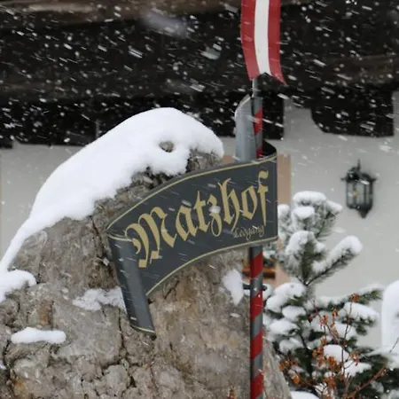 Matzhof Apartment Leogang