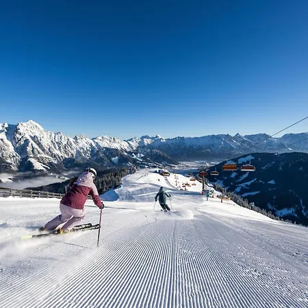 Matzhof Daire Leogang