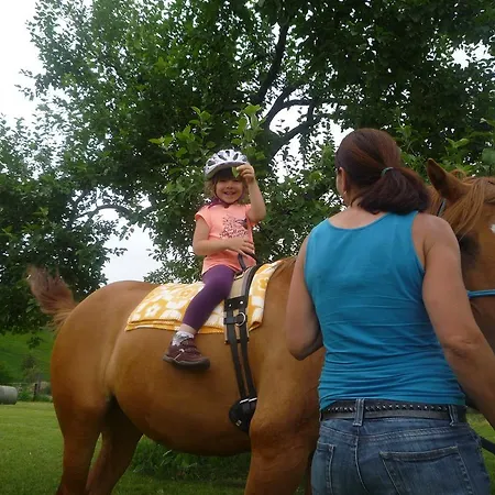 Daire Matzhof Leogang