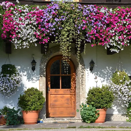 Daire Matzhof Leogang