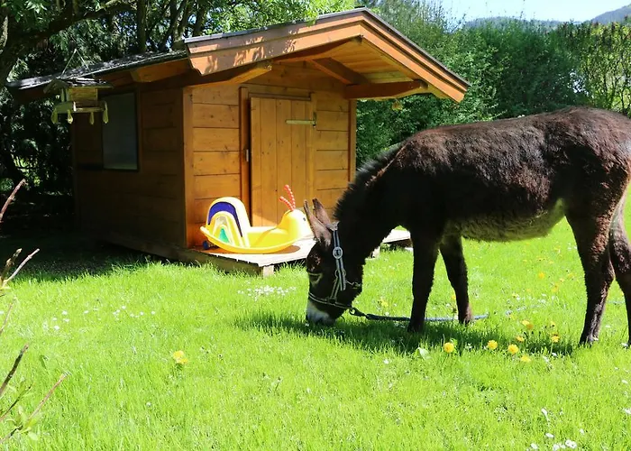 Matzhof Apartamento Leogang