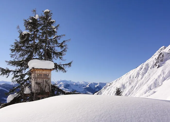 Apartamento Matzhof Leogang
