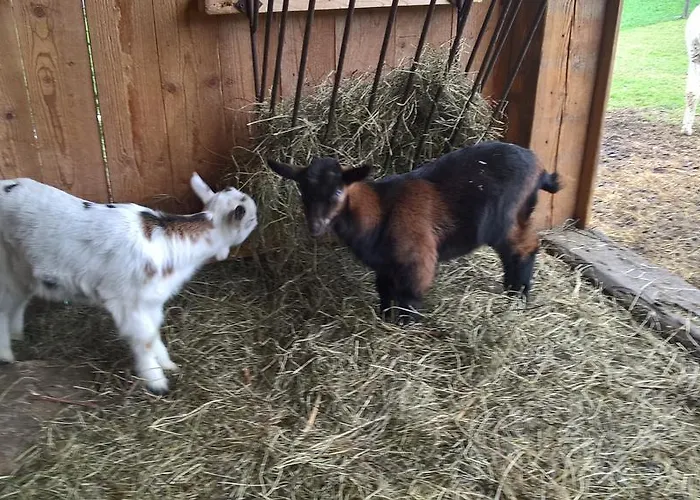 Apartamento Matzhof *